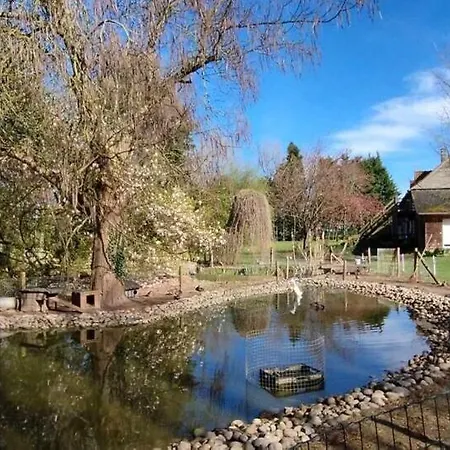 Domaine Des Celestins - Samara